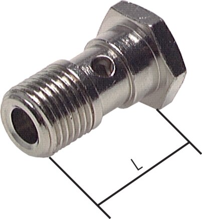 Exemplarische Darstellung: Hohlschraube (1-fach), Messing vernickelt